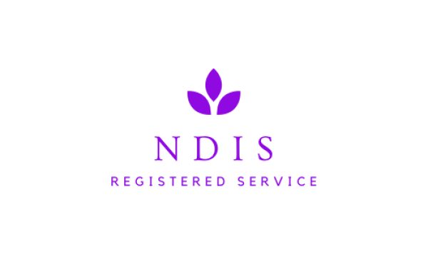ndis-2-1
